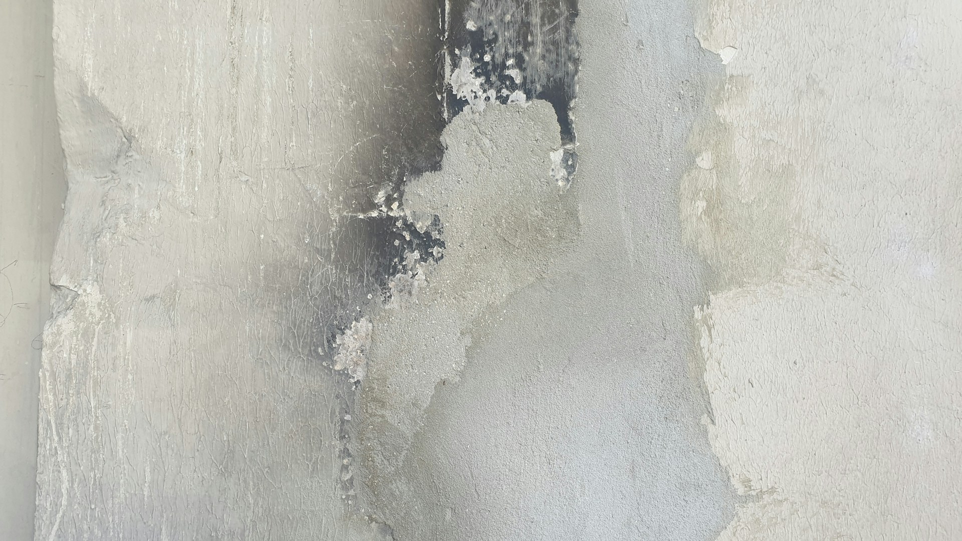 mold