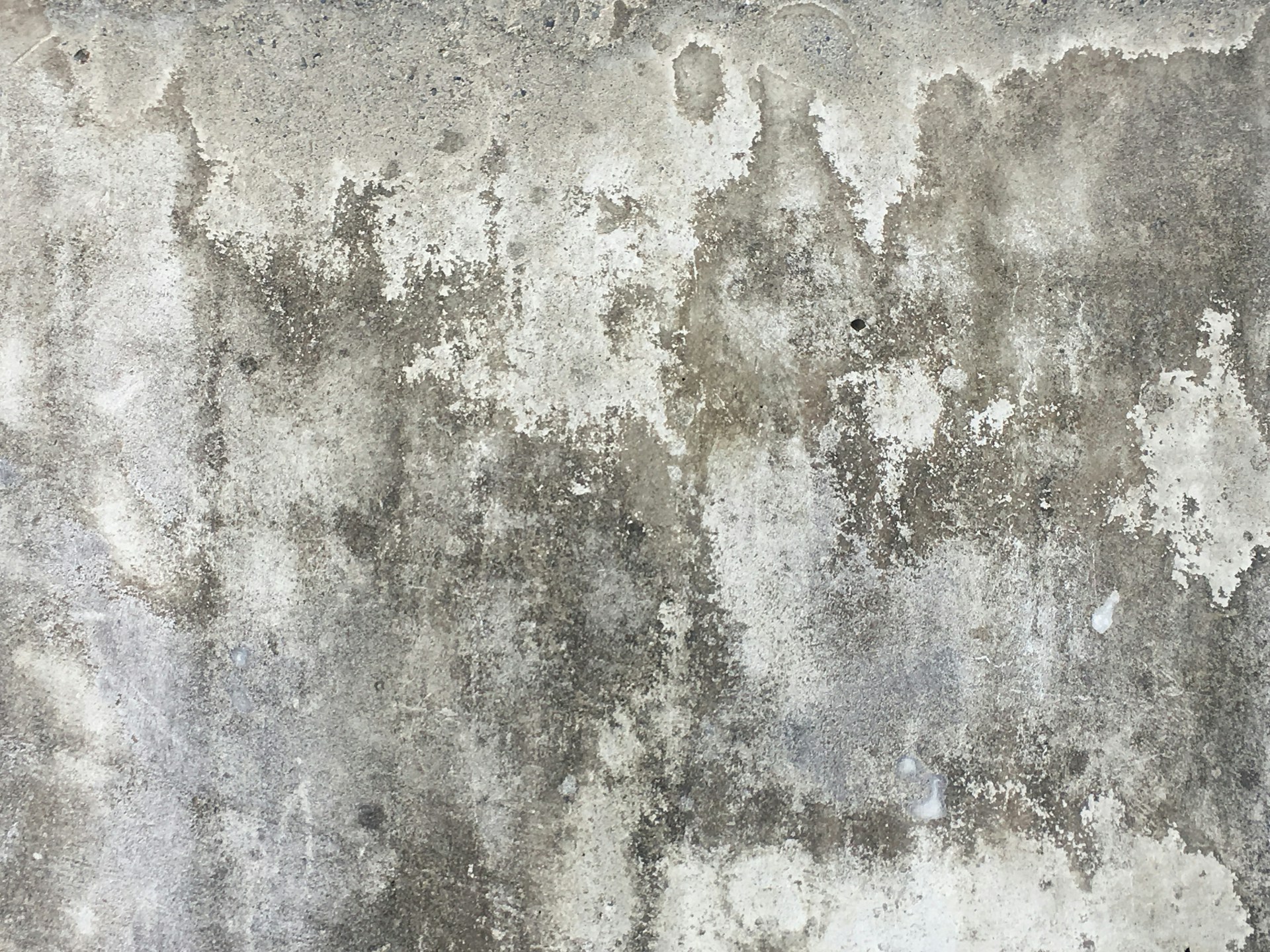 mold in Gilbert AZ bedroom