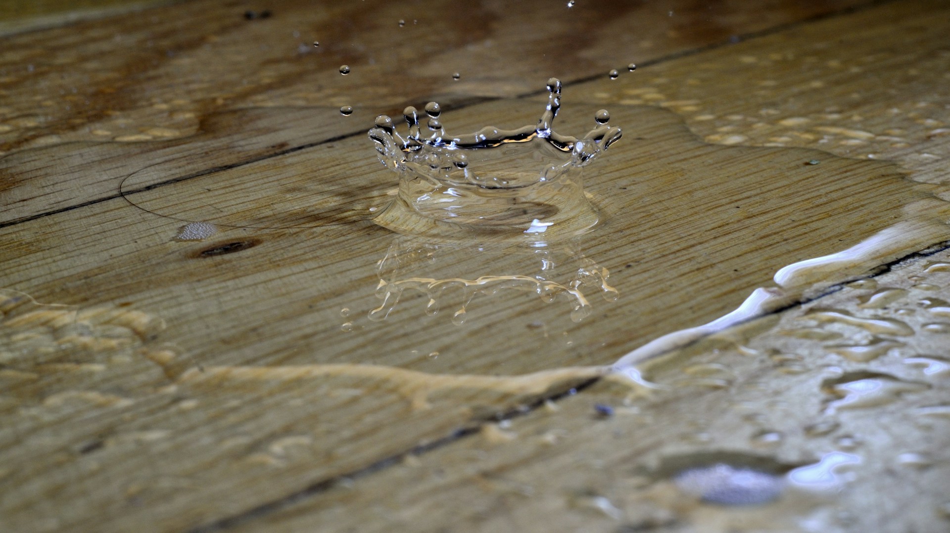 water damaged
