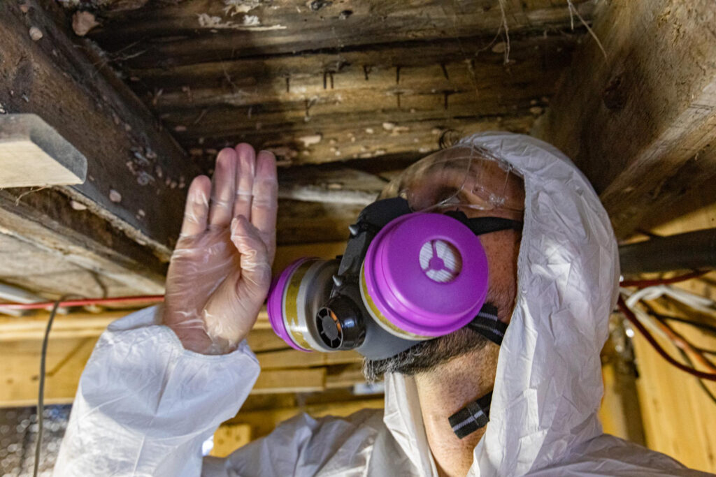 asbestos removal