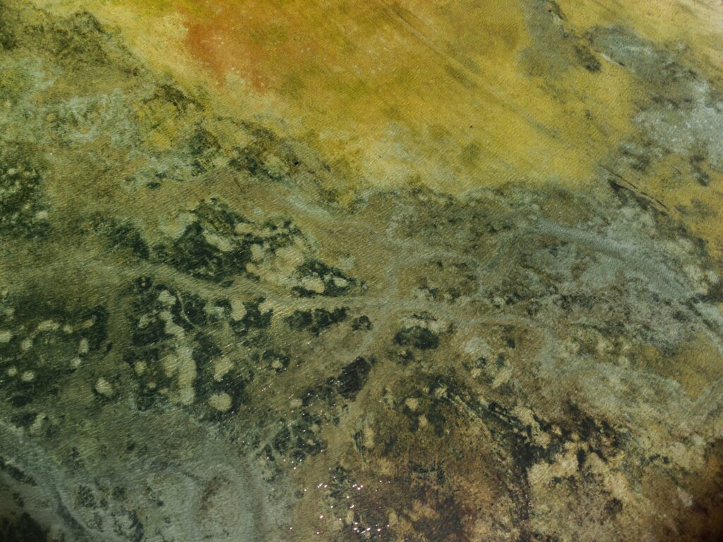 Mold