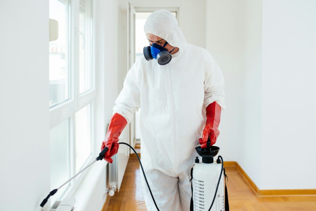 Prevent Summer Mold