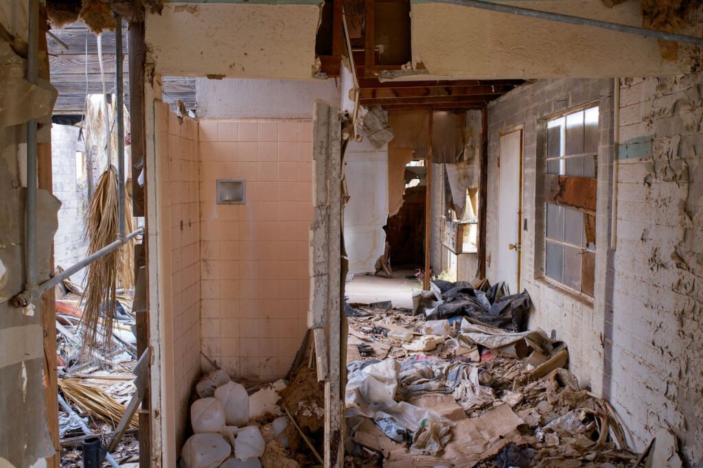 how much does mold remediation cost arizona